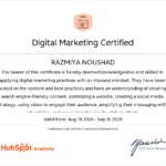 itsrazmi.com best digital marketing expert in kannur